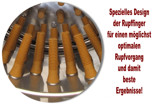 Beeketal Geflügelrupfmaschine Rupfmaschine Nassrupfmaschine für Gänse u. Puten- BRM2250 Beeketal Geflügelrupfmaschine Rupfmaschine Nassrupfmaschine Für Gänse U. Puten- BRM2250 -Einrichtungsgeschäft 0b99d5cb 4db1 4fd0 b3ab 878e532495e9